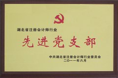 湖北省注冊會(huì )計師行業(yè)先進(jìn)黨支部