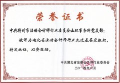 湖北省注冊會(huì )計師行業(yè)先進(jìn)基層黨組織